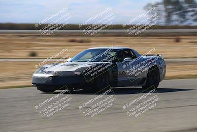 media/Nov-16-2024-CalClub SCCA (Sat) [[641f3b2761]]/Group 6/Grid and Front Straight/